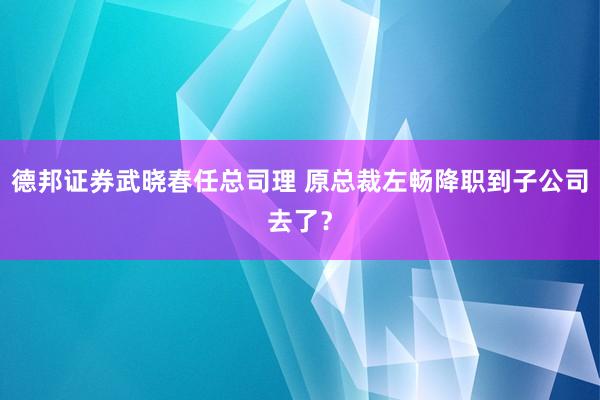 德邦证券武晓春任总司理 原总裁左畅降职到子公司去了？