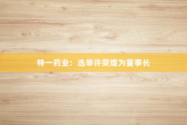 特一药业：选举许荣煌为董事长