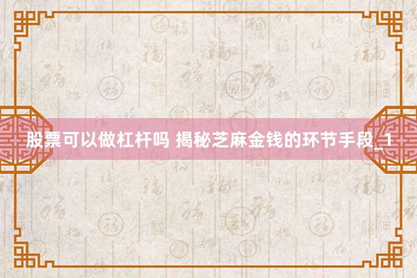 股票可以做杠杆吗 揭秘芝麻金钱的环节手段_1