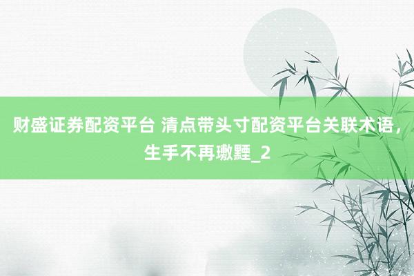 财盛证券配资平台 清点带头寸配资平台关联术语，生手不再璷黫_2