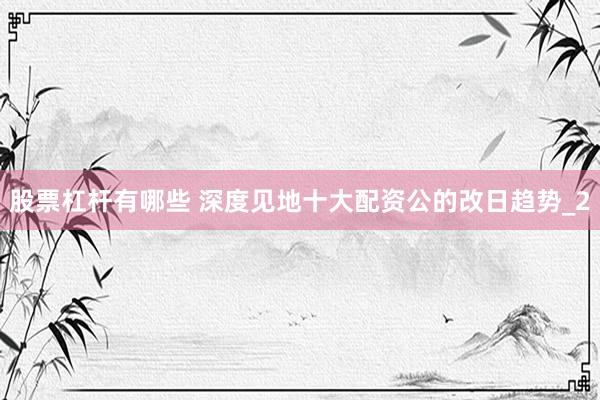 股票杠杆有哪些 深度见地十大配资公的改日趋势_2