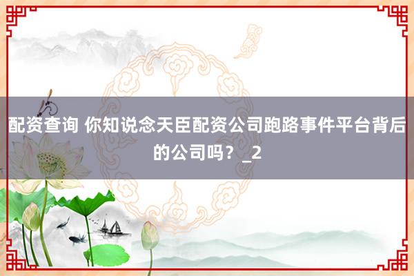配资查询 你知说念天臣配资公司跑路事件平台背后的公司吗？_2