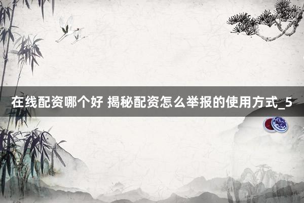 在线配资哪个好 揭秘配资怎么举报的使用方式_5