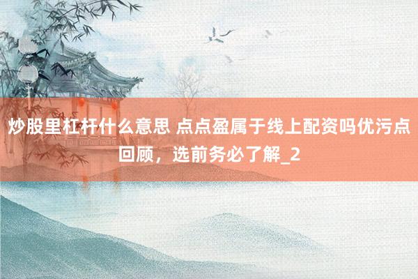 炒股里杠杆什么意思 点点盈属于线上配资吗优污点回顾，选前务必了解_2
