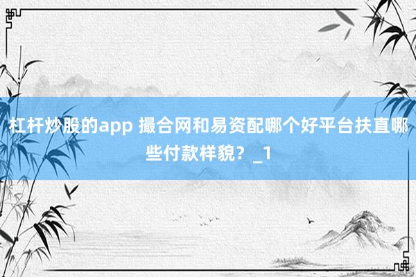 杠杆炒股的app 撮合网和易资配哪个好平台扶直哪些付款样貌？_1