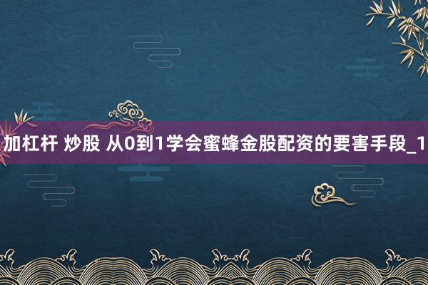 加杠杆 炒股 从0到1学会蜜蜂金股配资的要害手段_1